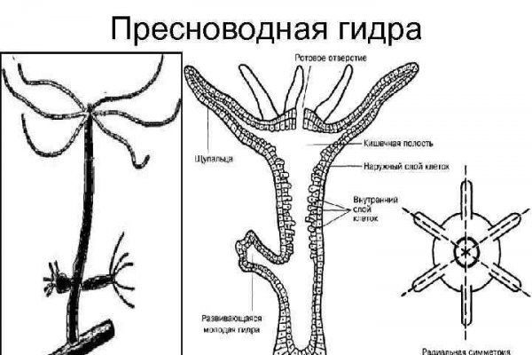 Что продает маркетплейс кракен